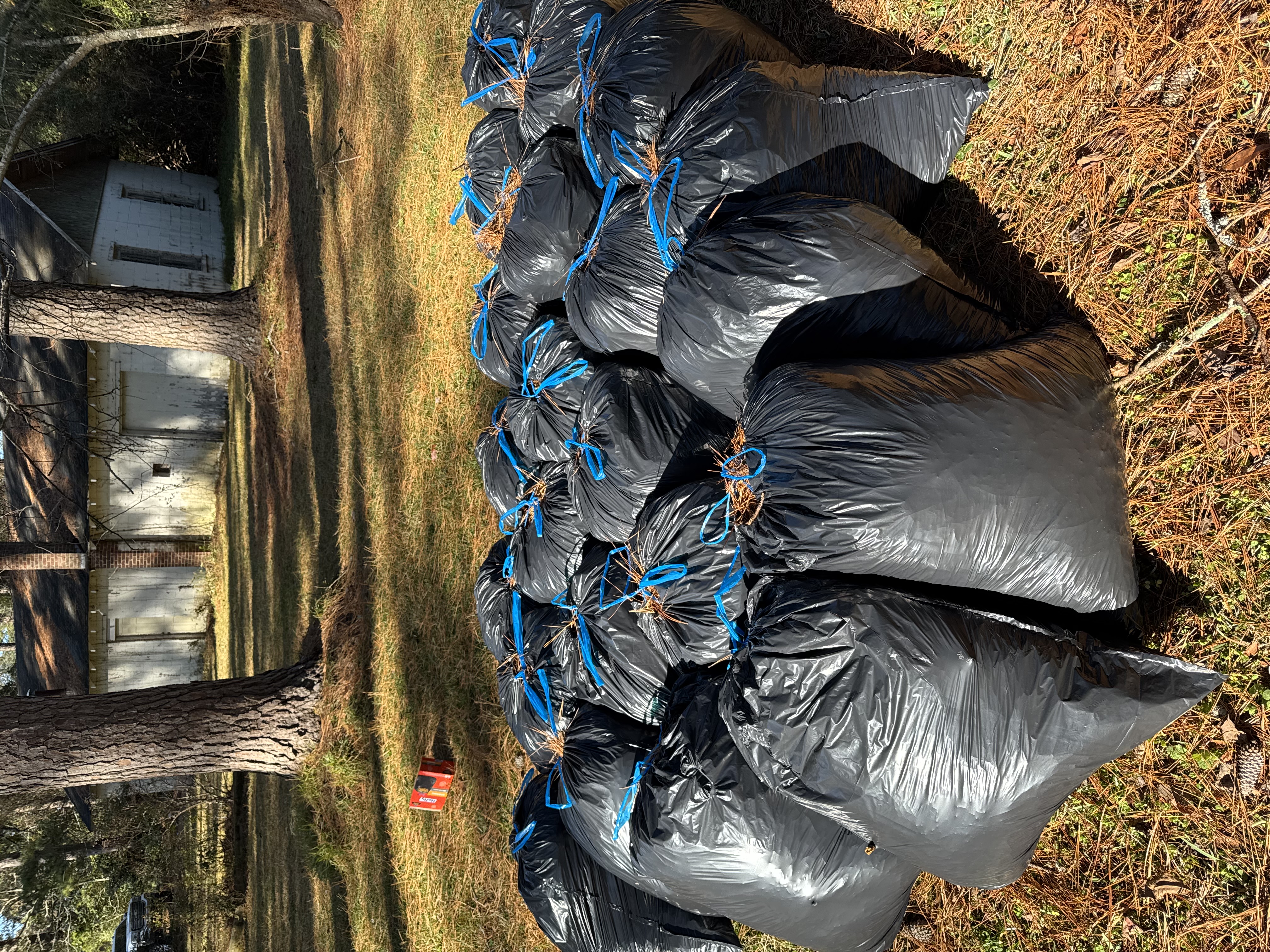 Recent Brooks Hauls It job 3